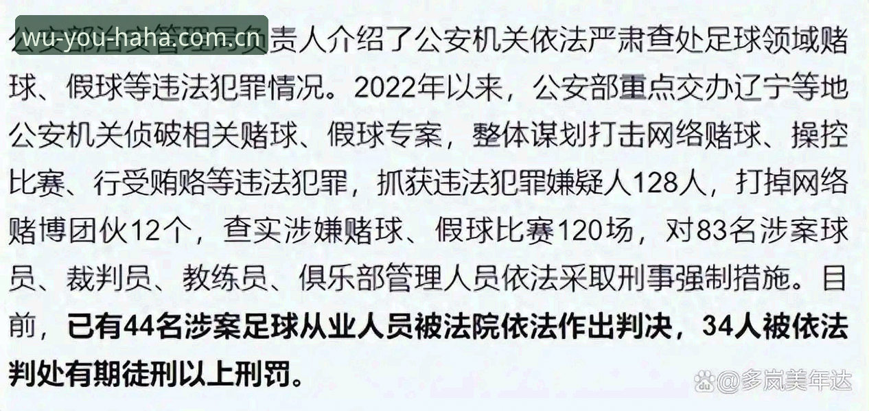 看足协禁足名单，哈哈体育用户必知的赛事诚信实用指南